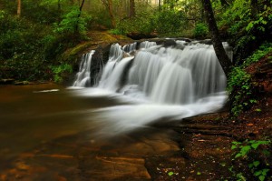 Live In Avery Creek