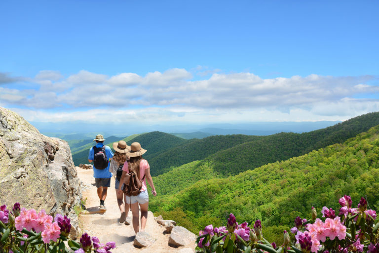 Asheville Memorial Weekend Ideas For The Whole Family The Buyer's