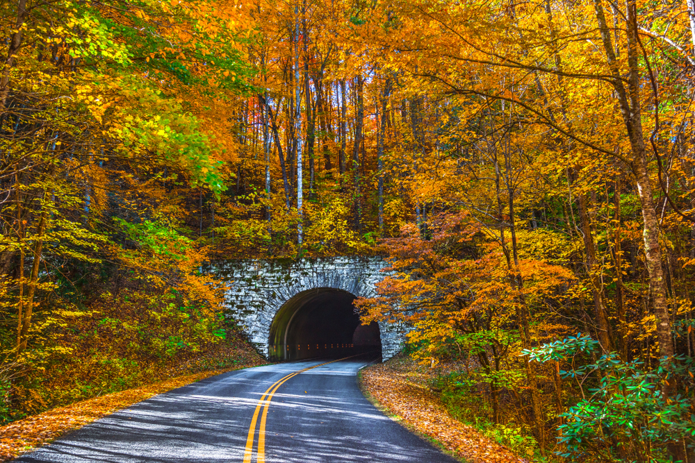 Fall-In-Asheville